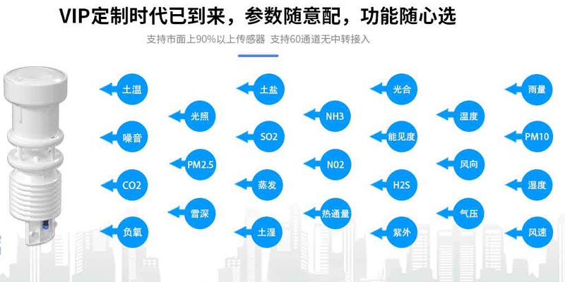 便携式智能91视频黄免费仪器